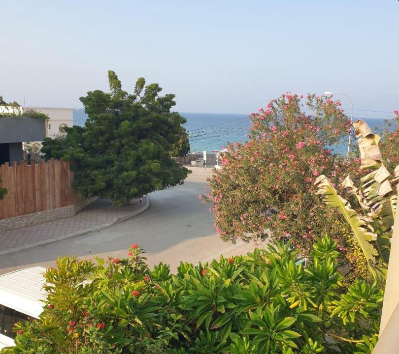 Photo of Others in Muscat
