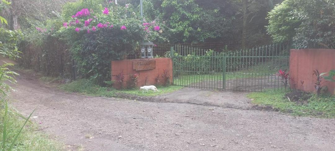 Photo of Others in Ciudad Colon