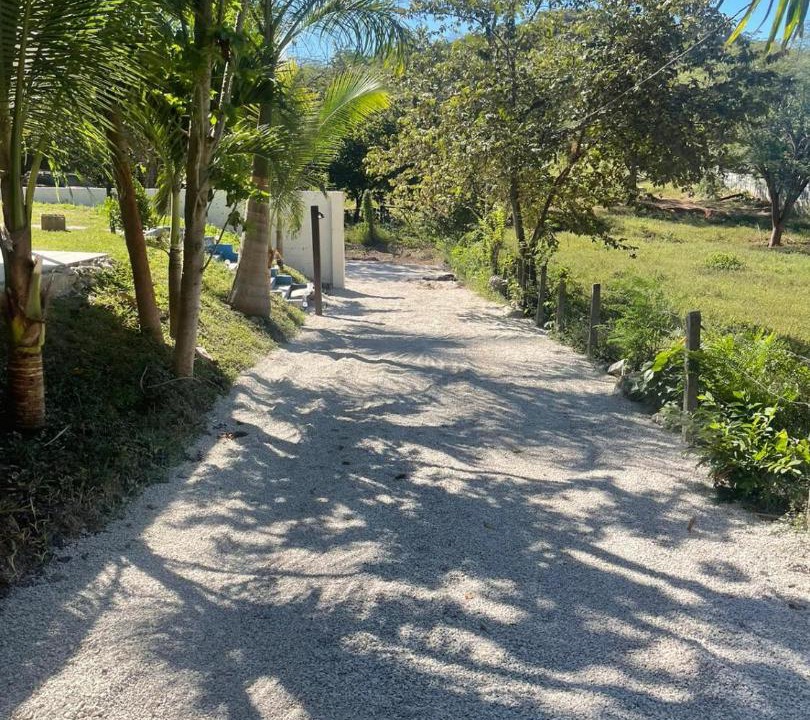 Photo of Others in Matapalo