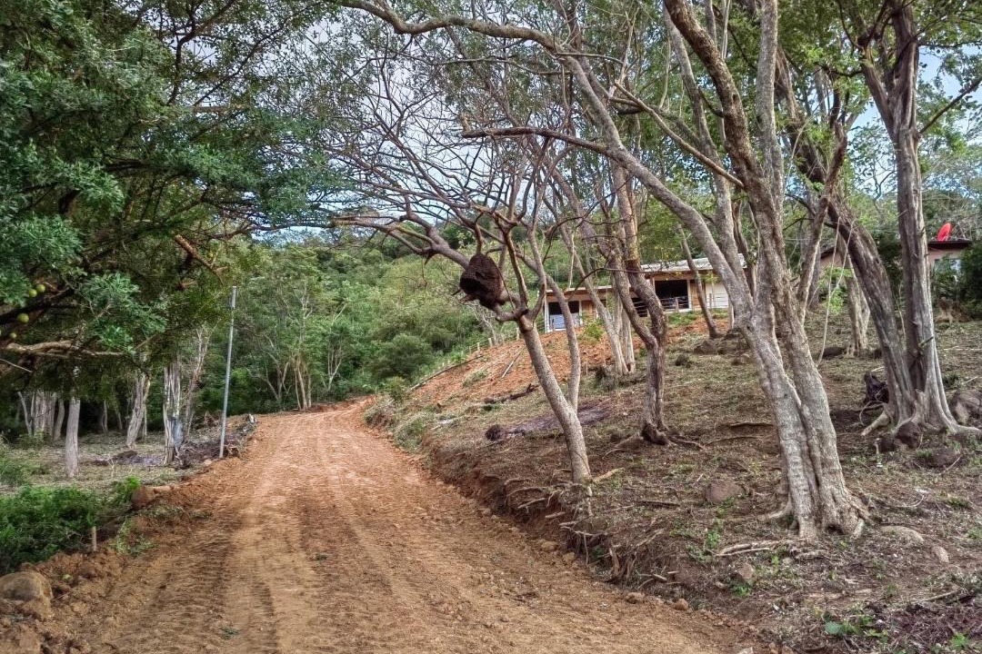 Photo of Others in La Cruz