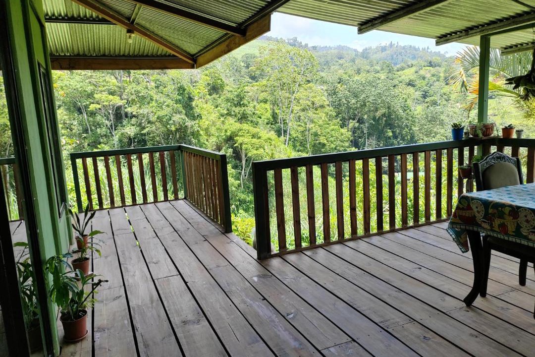Photo of Patio Balcony in Pavones