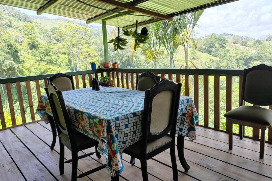 Photo of Patio Balcony in Pavones