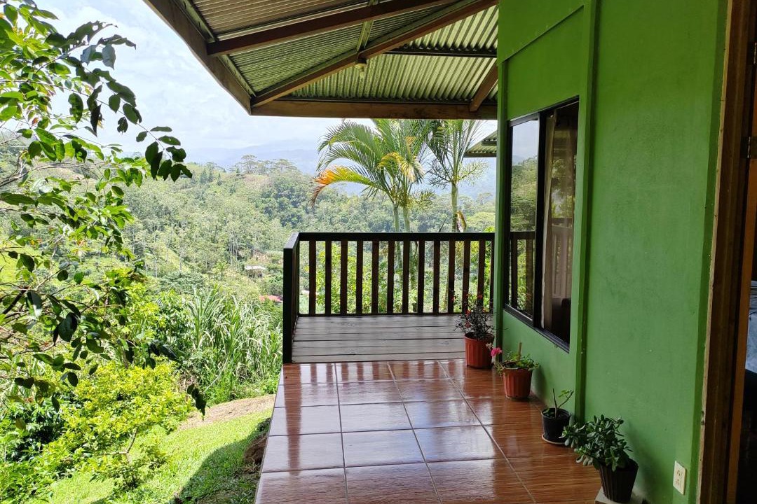 Photo of Patio Balcony in Pavones