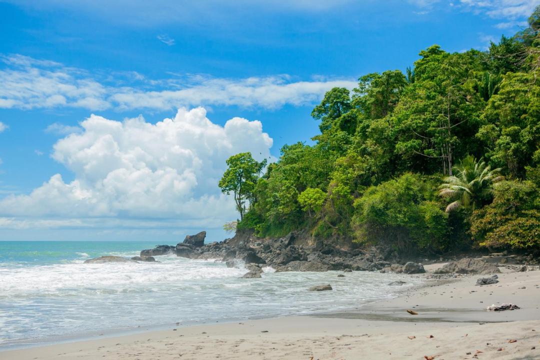 Photo of Others in Manuel Antonio