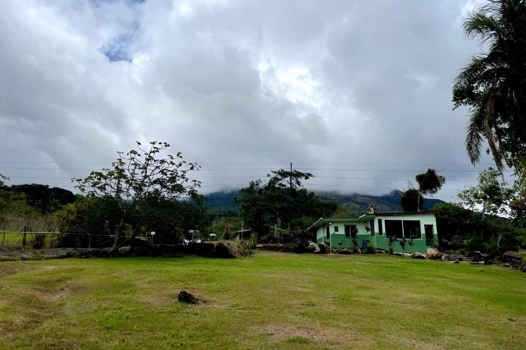 Photo of Others in Guayabo