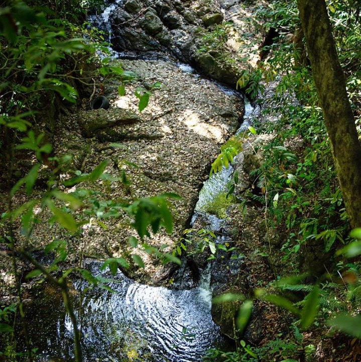 Photo of Others in Montezuma