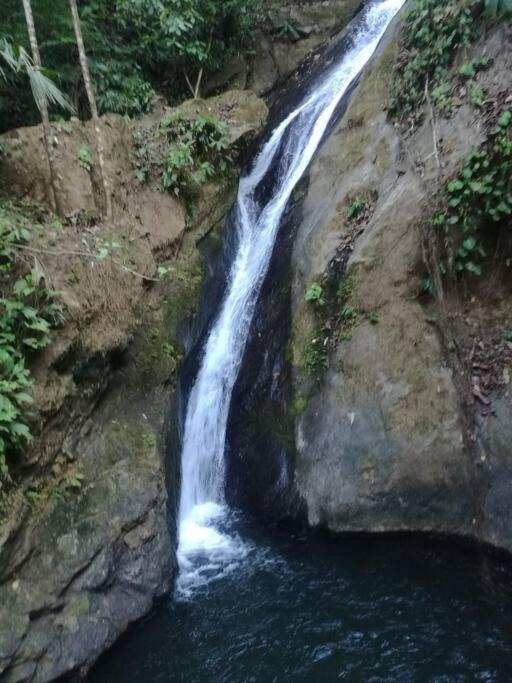 Photo of Others in Sierpe