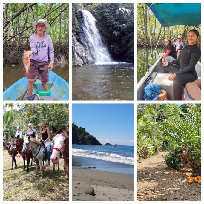 Photo of Others in Sierpe