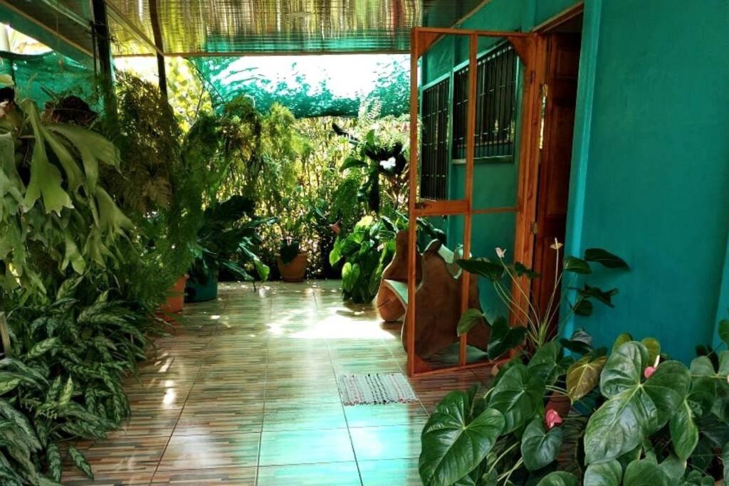 Photo of Outdoor in Sierpe