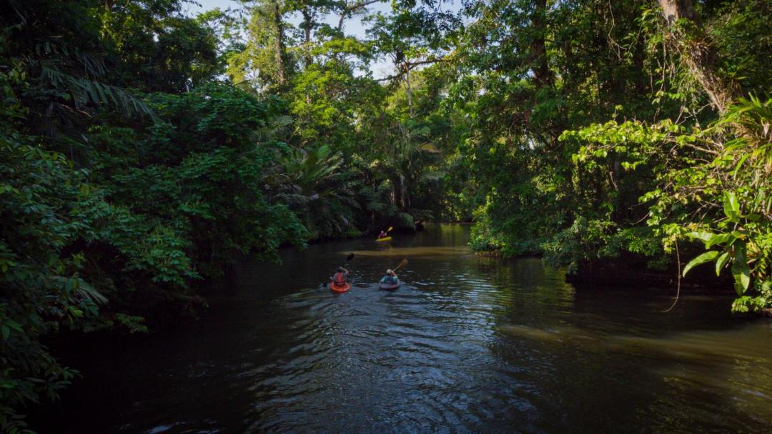 Photo of Others in Tortuguero