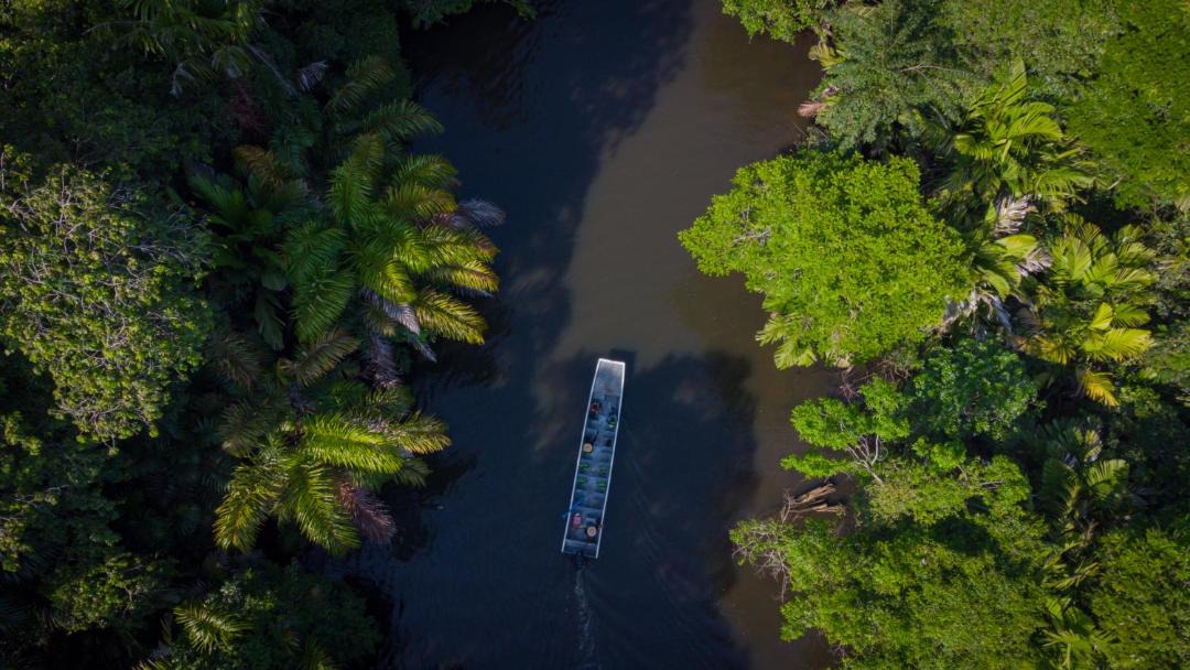 Photo of Others in Tortuguero