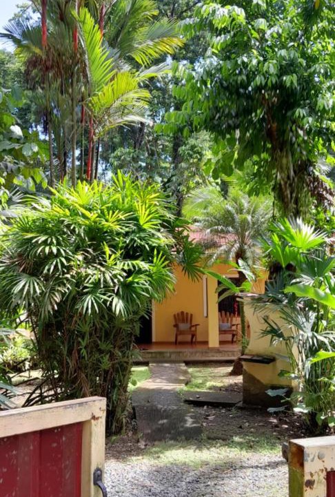 Photo of Others in Puerto Viejo de Talamanca