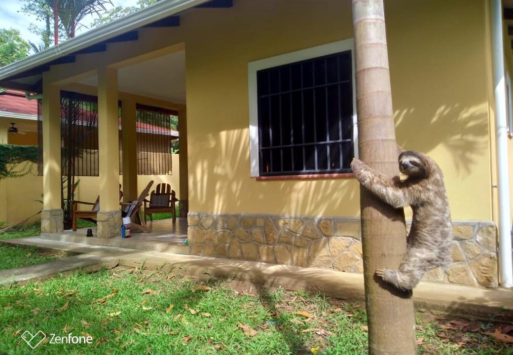 Photo of Others in Puerto Viejo de Talamanca