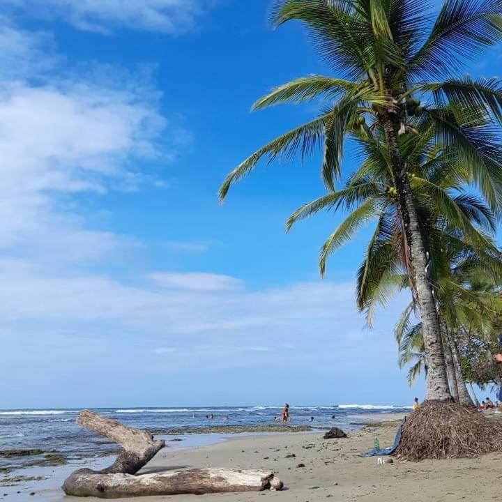 Photo of Others in Puerto Viejo de Talamanca
