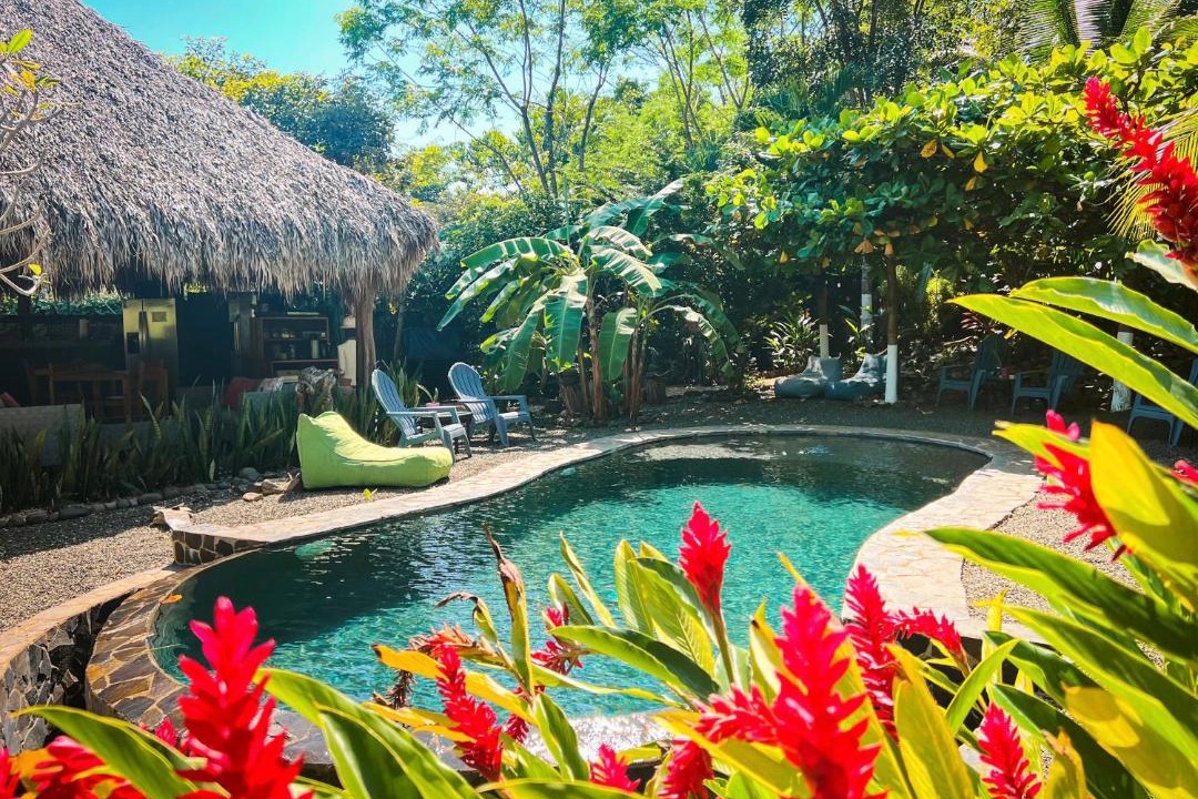 Photo of Others in Playa Grande