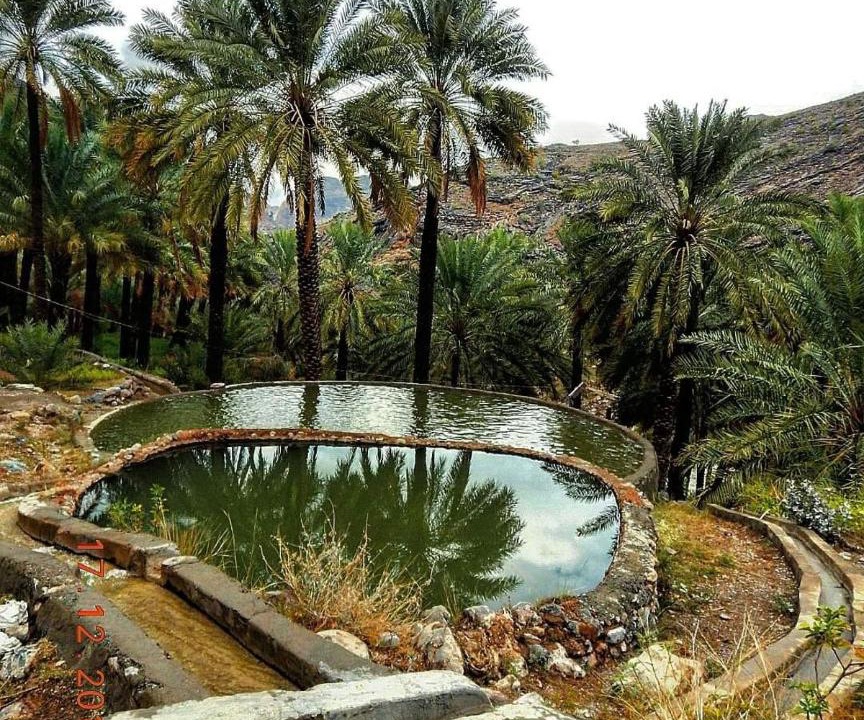 Photo of Others in Wadi Bani Kharus