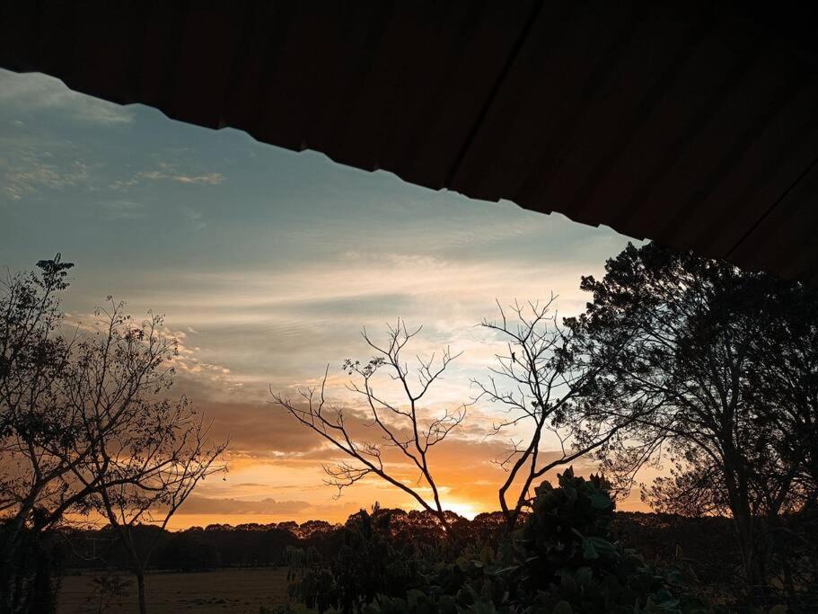 Photo of Outdoor in Javilla