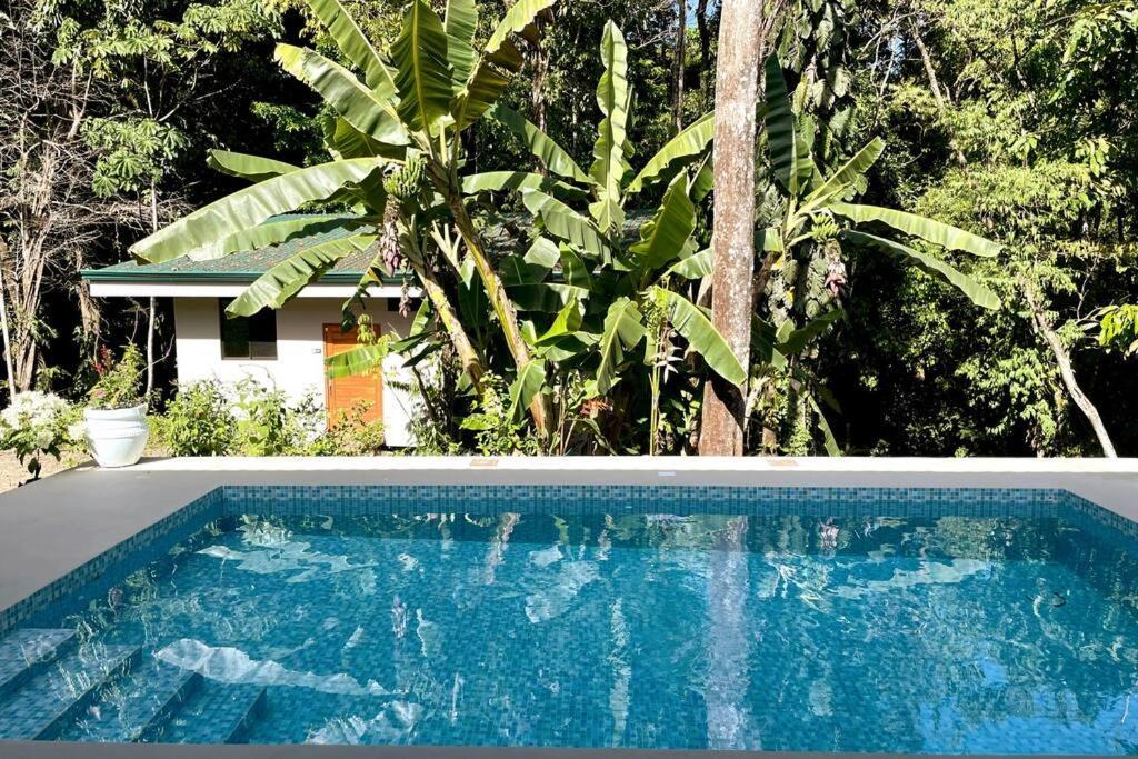 Photo of Others in Manuel Antonio