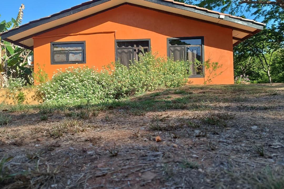 Photo of Buildings in Javilla