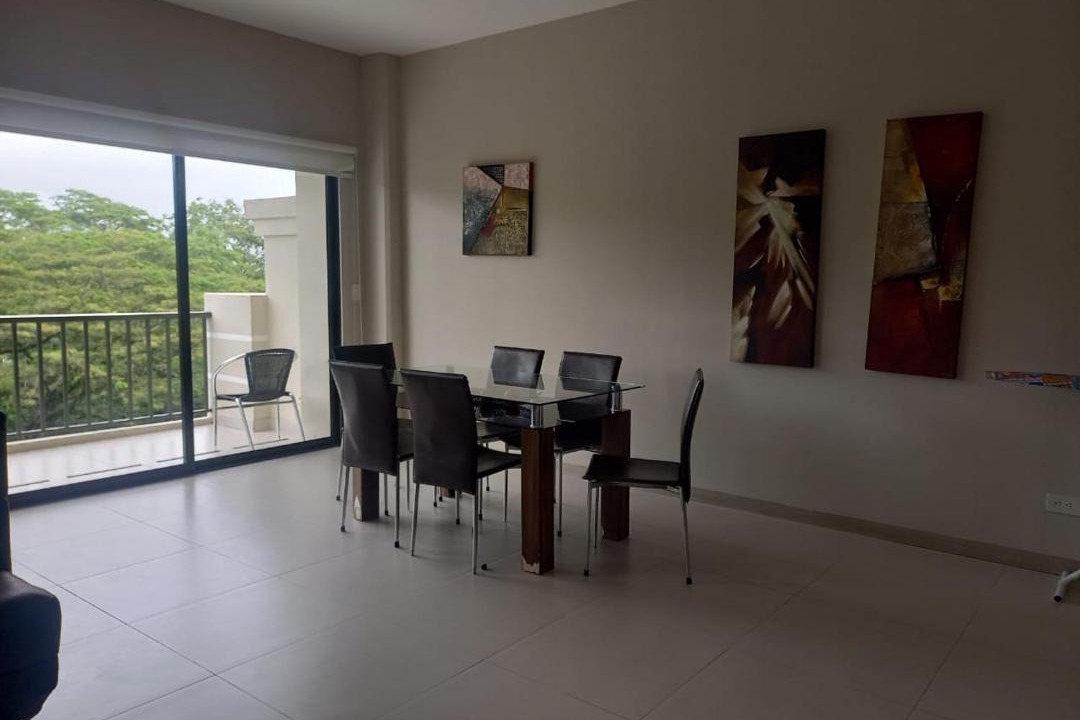Photo of Livingroom in Barrio Copey
