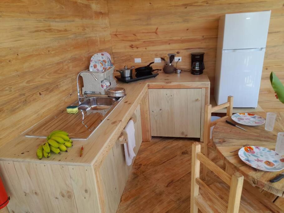 Photo of Kitchen in Daniel Flores