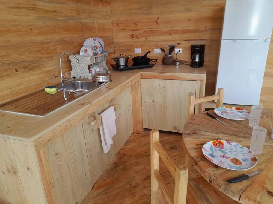 Photo of Kitchen in Daniel Flores
