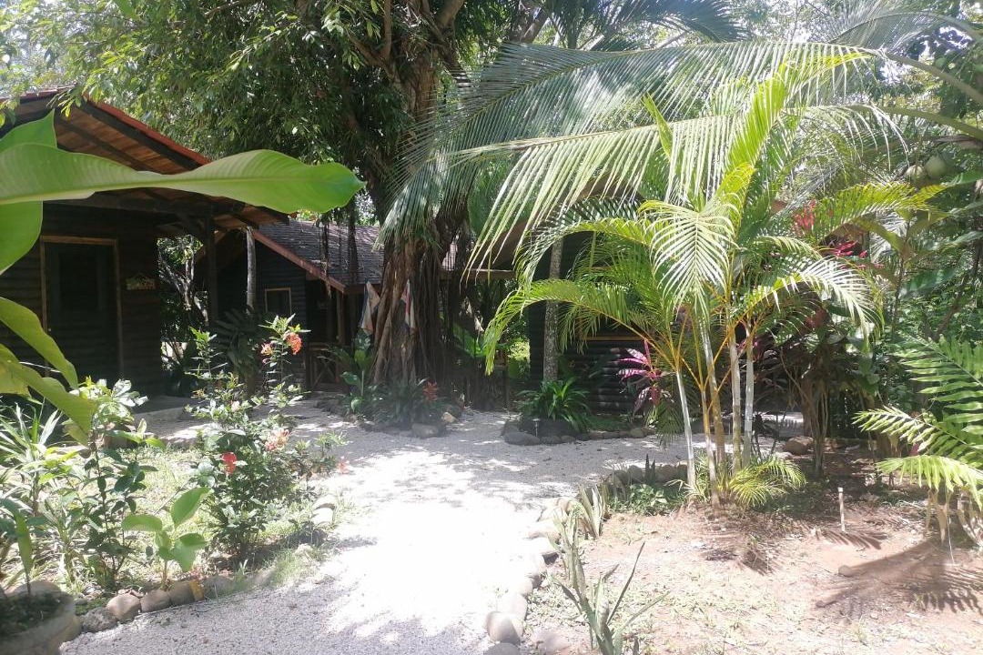 Photo of Others in Canton Parrita