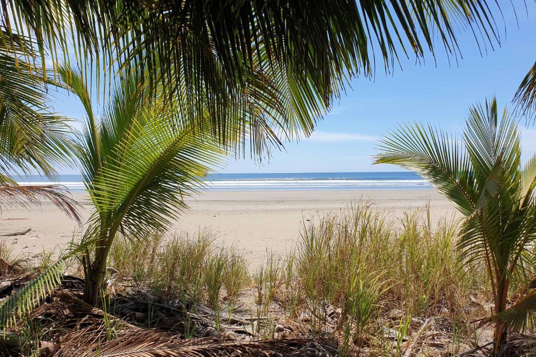Photo of Outdoor in Javilla