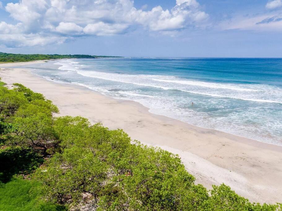 Photo of Others in Tamarindo