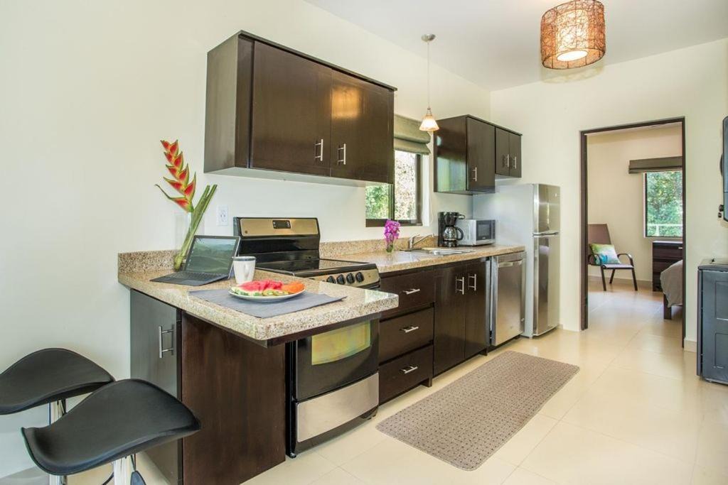 Photo of Kitchen in Canton Parrita