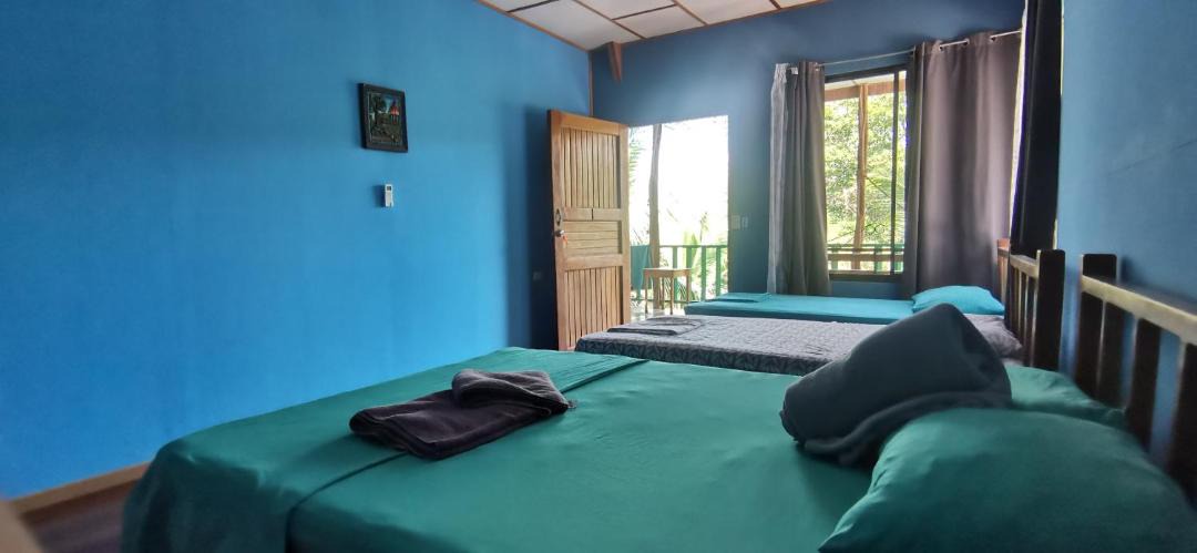 Photo of Bedroom in Drake Bay