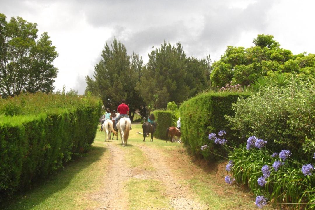 Photo of Others in Cirri Sur