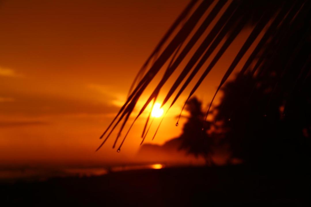Photo of Others in Javilla