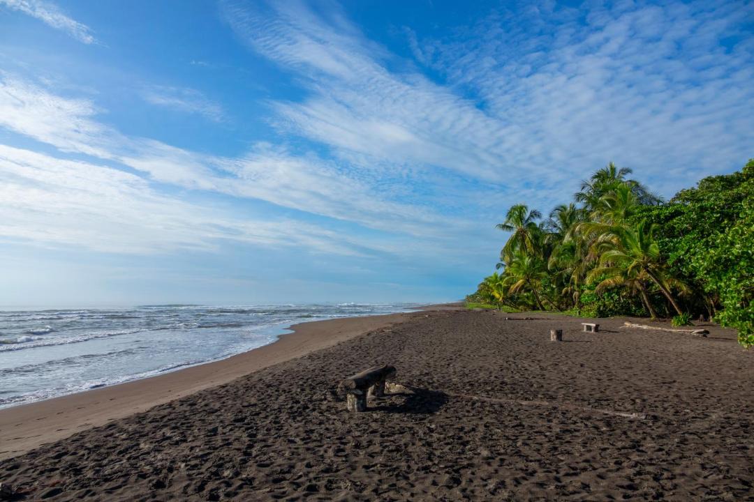 Photo of Others in Tortuguero