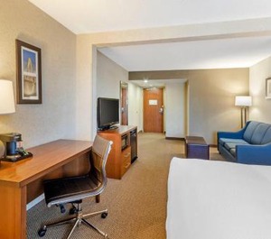 Comfort Inn Suites Convention 