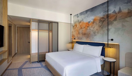 Room, 1 King Bed with Sofa bed