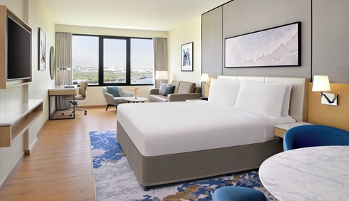 Family Room, 1 King Bed