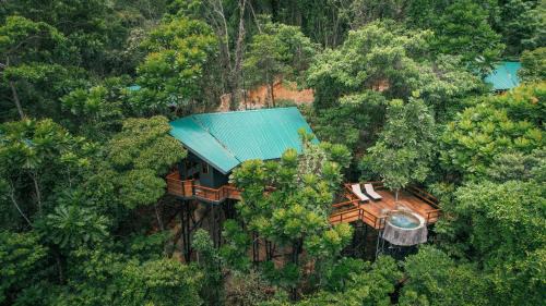 Jungle Tree House Adults Only