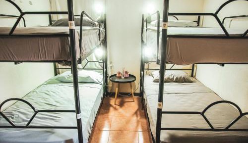 Bunk Bed in Female Dormitory Room  