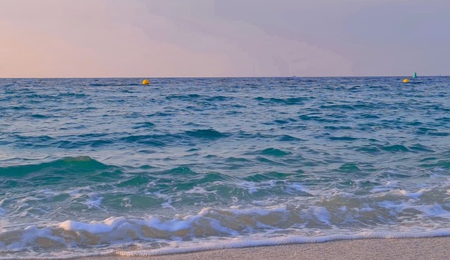 VIEW RENTALS ✧ apartment in Port de la Mer, Dubai